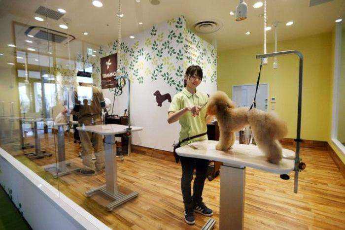 适合女性创业的店的名字,适合女性创业的十种店