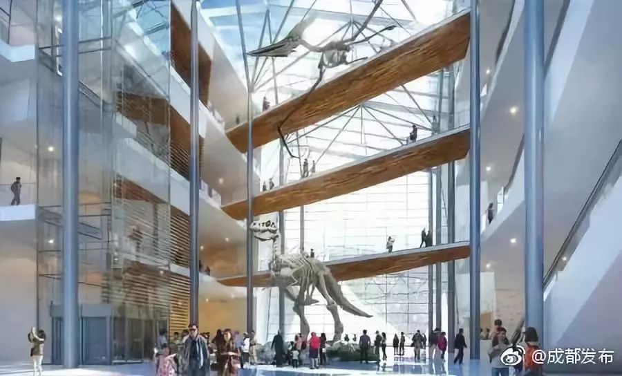 成都自然博物馆征集,成都自然博物馆征集计划