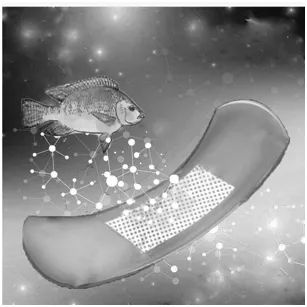 百科｜能促进伤口愈合的不止凤凰眼泪，还有“鱼皮创可贴”