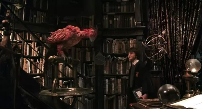 百科｜能促进伤口愈合的不止凤凰眼泪，还有“鱼皮创可贴”