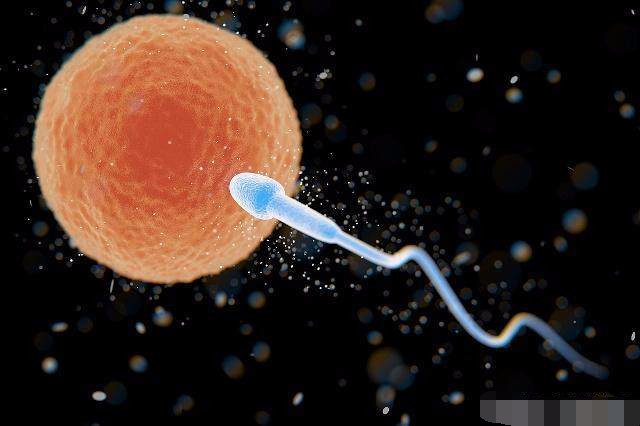 女人“排卵”时,身体会有这3种“感觉”,抓紧时机“造人”吧!