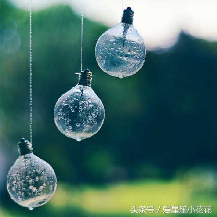 8月12日12星座总体运势预报,月运势