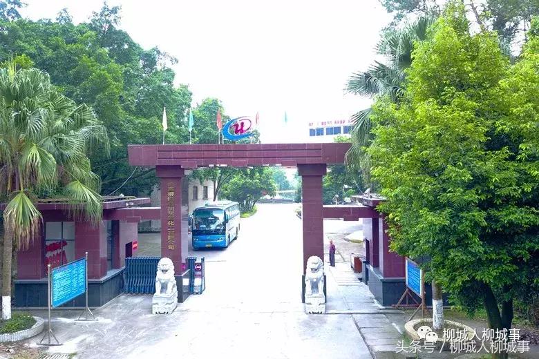 「探秘柳城」扒一扒这里是怎么由荒地变成“凤凰窝”……