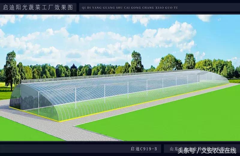 东北冬暖式大棚温室设计方案,新型温室设计建造