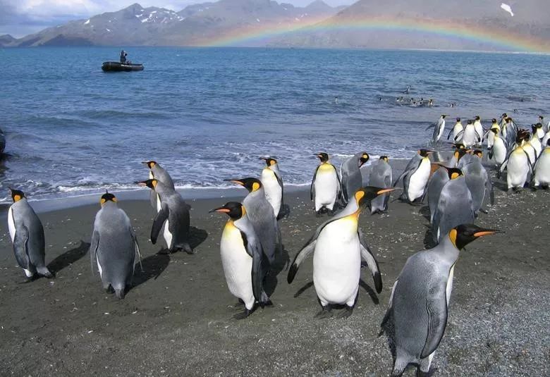 宜信财富怎么样了,宜信财富可信吗