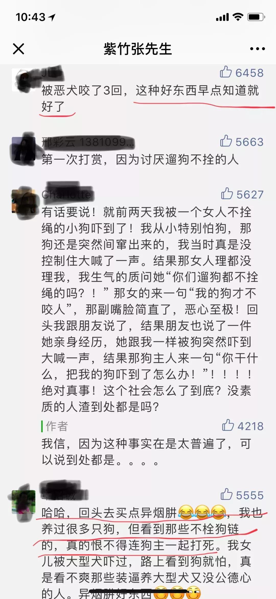 遛狗不栓绳社会狗的危害,毒狗犯不犯法