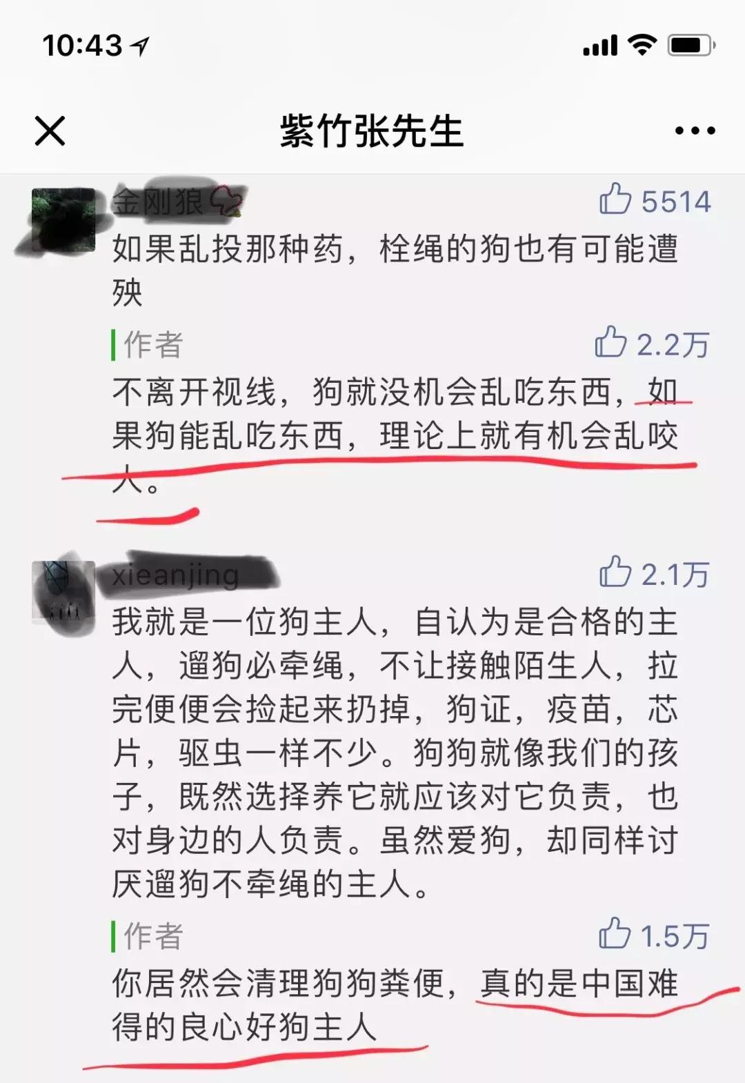 遛狗不栓绳社会狗的危害,毒狗犯不犯法