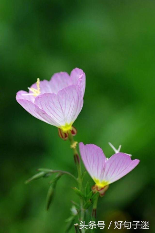 经典语录个性签名人生感悟,简短精辟的个性签名句子精辟走心