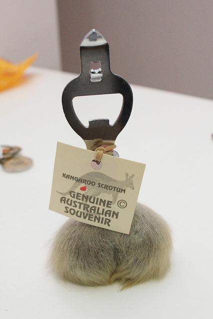 黄金海岸观鲸游,冲浪观鲸