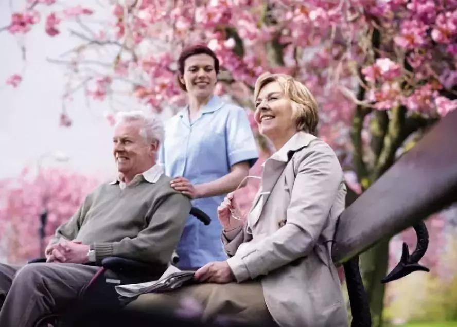 荷兰有个“楚门的世界”，一群*子骗**在干这件事，真相却让人泪目