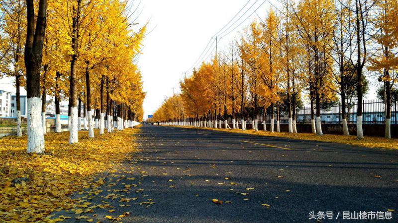 花桥上海双城生活,昆山花桥和上海一路之隔