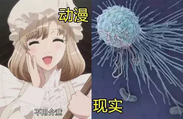 涨姿势动画,涨姿势动漫