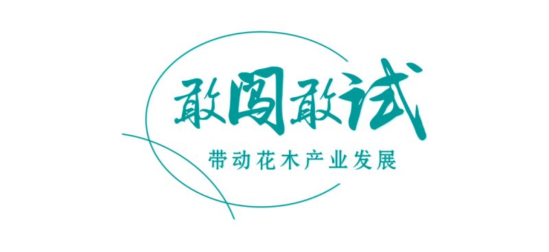 柴桥水芹书记,柴桥街道领导班子