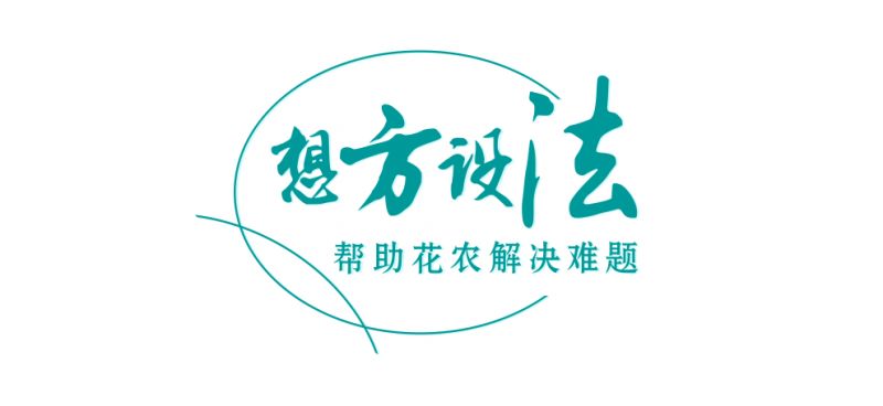 柴桥水芹书记,柴桥街道领导班子