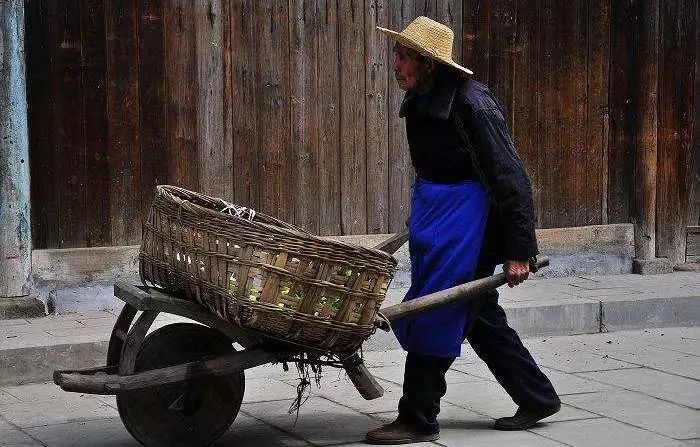 这17个金牛冷知识，据说99%的人都不知道！