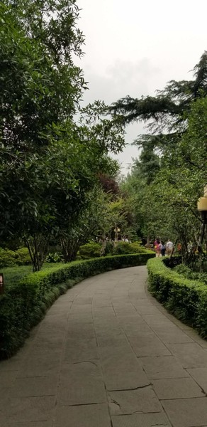 带着爸妈自由行攻略,带父母和孩子成都怎么玩