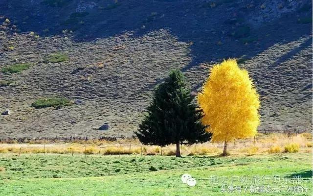 *疆新**人民又过年了—古尔邦节可可托海观光福海鱼宴3日美食休闲游