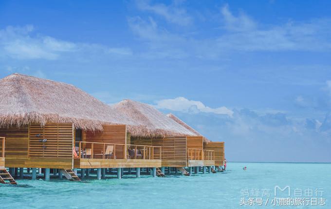 马尔代夫游记可可尼岛,马尔代夫可可亚岛旅游攻略
