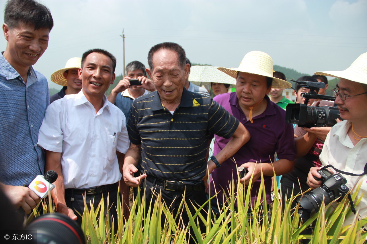 京东下乡,折了;拼多多,假货泛滥;除了农村淘宝,还能看好谁?