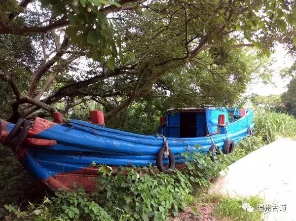 鹿西岛景区图,鹿西岛旅游攻略礁石拍照