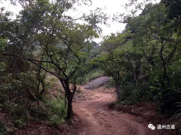 鹿西岛景区图,鹿西岛旅游攻略礁石拍照