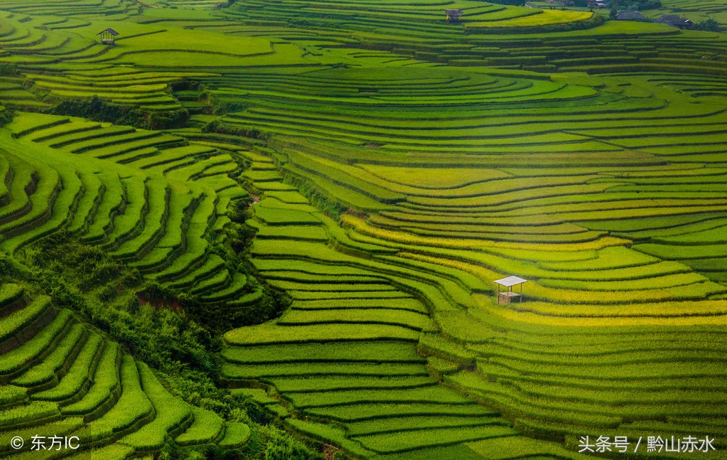 李冰冰来松花湖滑雪了吗,李冰冰山水