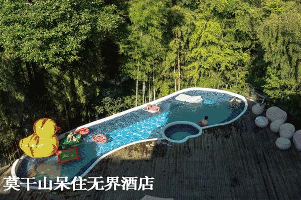 七夕撒狗粮的浪漫惊喜,七夕撒狗粮