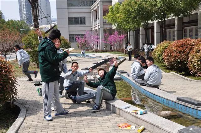 南师附中新城初中排名,南师附中新城初中招生简章最新版