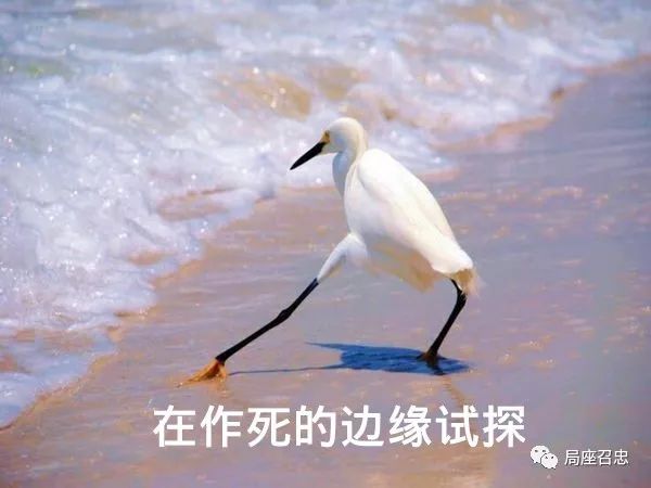 美军飞机停在哪里,美军的飞机有没有来过中国