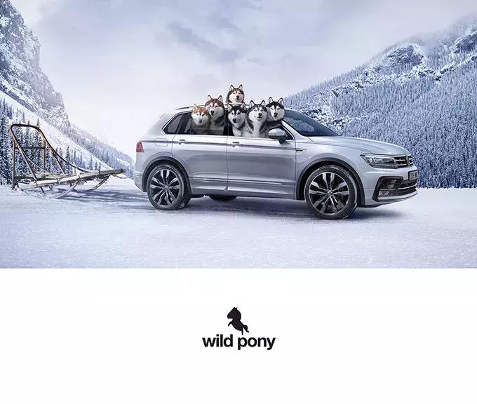 广告语的魅力,广告语学问大