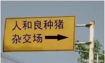 朋友打电话说她快到高潮了，让我出来一下
