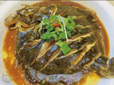 葫芦岛国际泳装节,葫芦岛泳装博览会