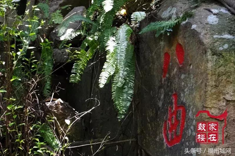 福州新的公园,福州这几年新开发的公园