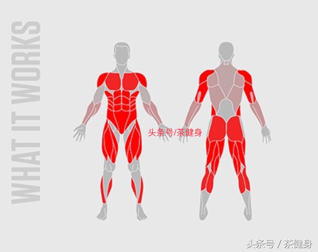 户外徒手健身动作大全,全民健身大作战