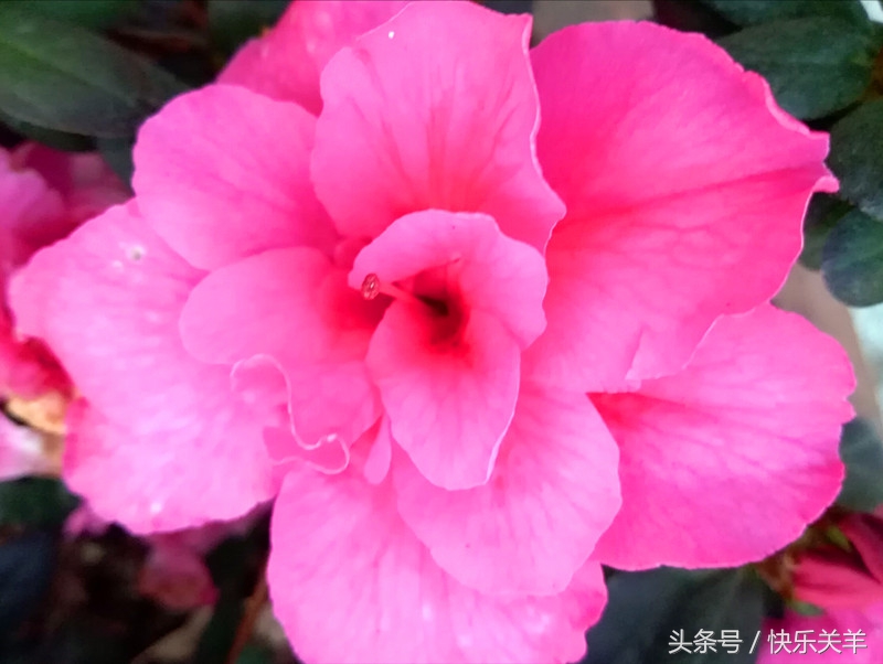 适合朋友圈发的美文短句,适合发朋友圈的美文经典语录