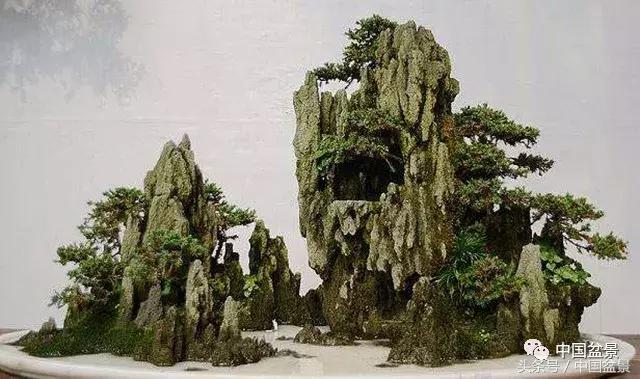 值得收藏的盆景养护常用技法