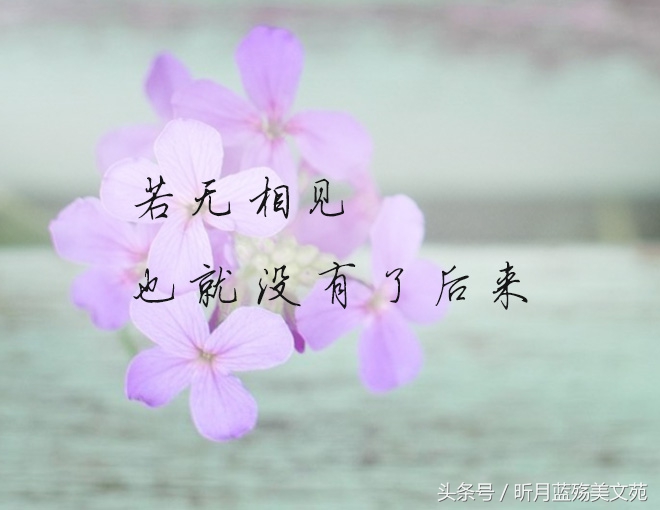 岁月漫长,你的名字已入骨