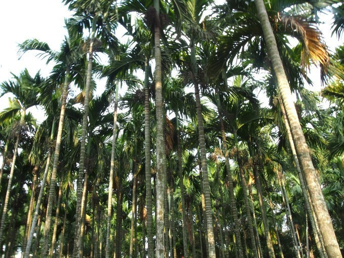 七夕去哪儿约会附近,七夕三亚旅游攻略