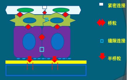 角膜上皮细胞损伤多久能恢复,治疗角膜上皮细胞损伤全国专家