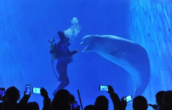 贵州旅游避暑推荐地点有哪些景点,贵州避暑旅游线路整理推荐