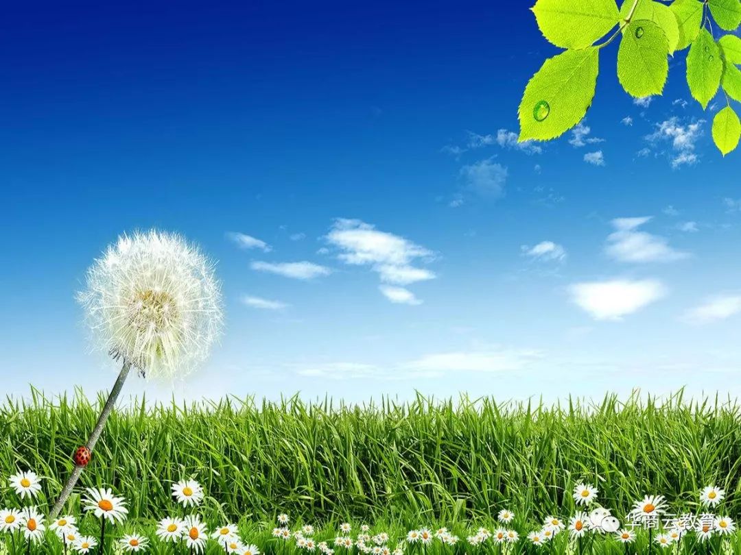 三本录取压线投档越来越少报考竞争力越来越大