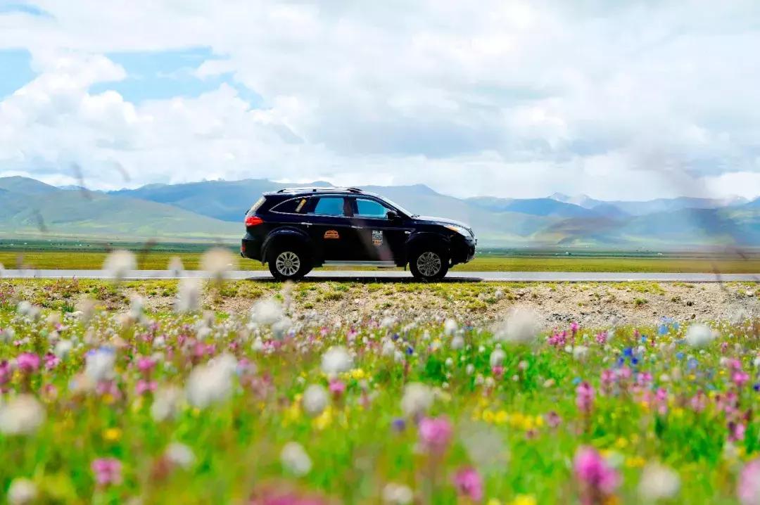 秒杀若尔盖！川西有个官方认定的最美草原，景美人少不收门票！