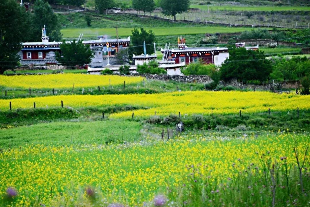 秒杀若尔盖！川西有个官方认定的最美草原，景美人少不收门票！