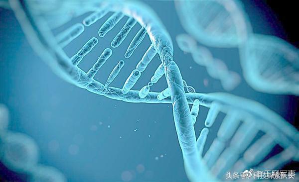 转基因和基因编辑的区别,转基因和基因编辑的植物有啥区别