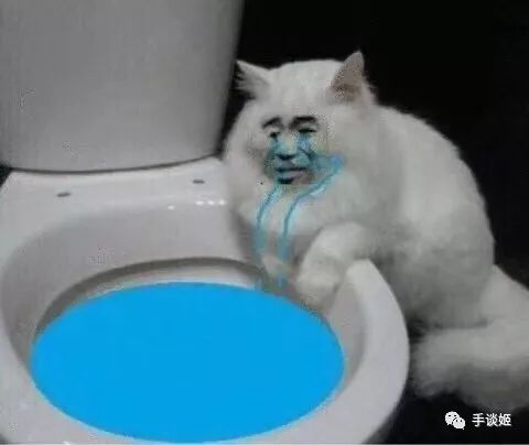 我只是个兴趣使然的英雄,我的兴趣只是当一个英雄