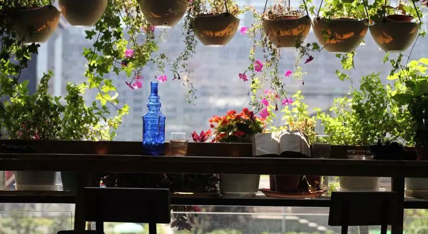 成都民宿地图高清版大图,成都市区民宿推荐排名前十名