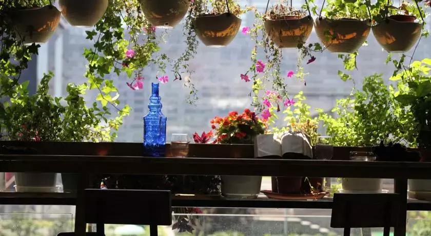 成都市区民宿地图2018年版