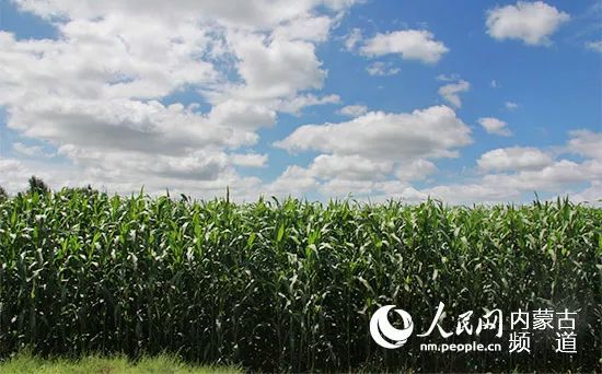 通辽市重磅新闻,通辽发布最新消息