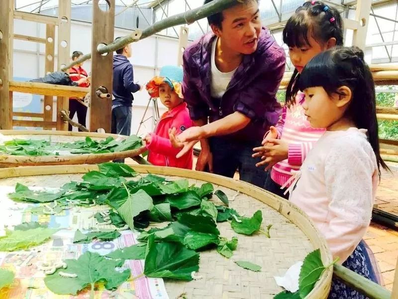 无套路旅游,无套路观看全集