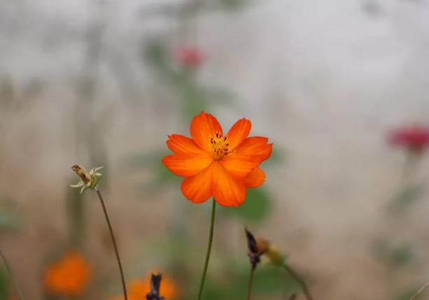 当你一无所有的时候怎么办,当你一无所有的时候谁会帮你